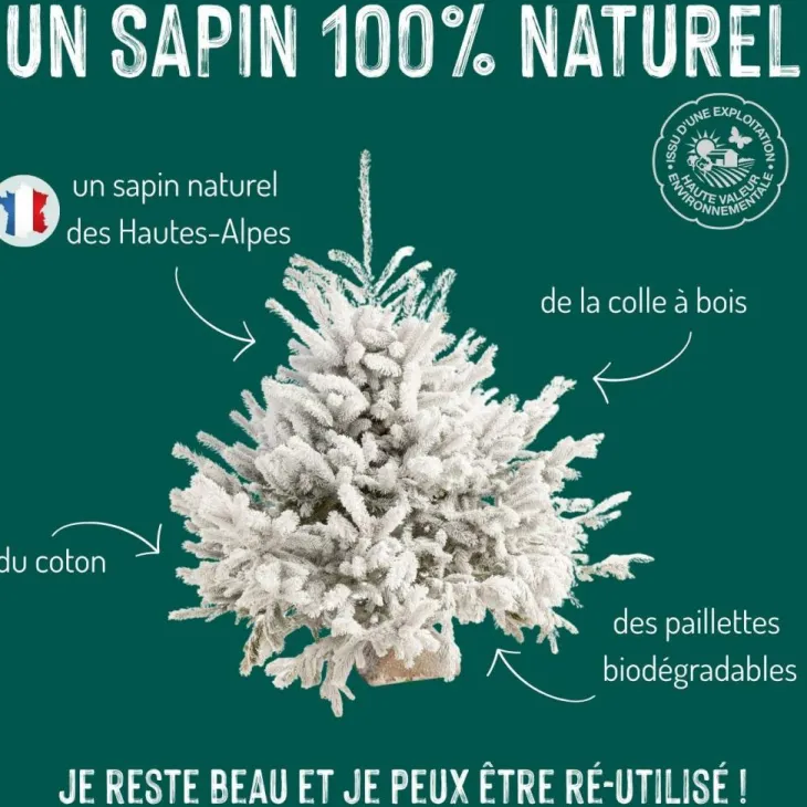 Sapin de Noël naturel blanc effet enneigé Diamant Robin®