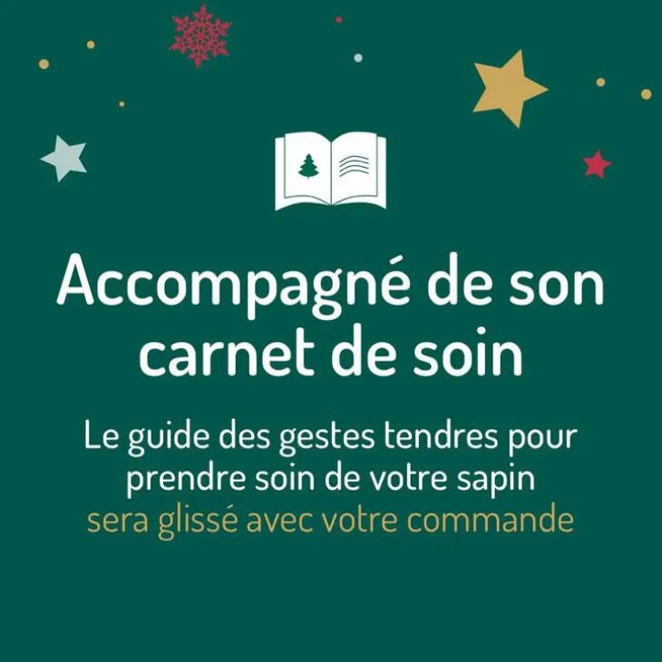 Sapin de Noël naturel coupé Label Rouge Picea Excelsa