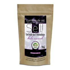 Sel noir de l'Himalaya recharge 250g