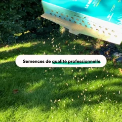 Semences gazon création et rénovation pour tous types de terrain Bleen - 5 kg