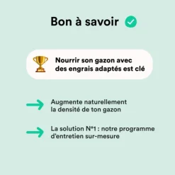 Semences gazon création et rénovation pour tous types de terrain Bleen - 5 kg
