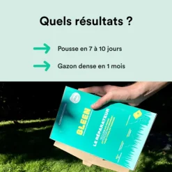 Semences gazon création et rénovation pour tous types de terrain Bleen - 3 kg