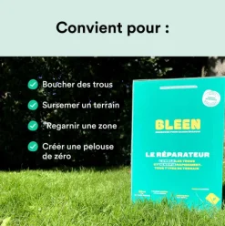 Semences gazon création et rénovation pour tous types de terrain Bleen - 3 kg