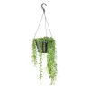 Senecio Herreanus suspension Ø14x30 cm