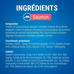 Snack à mâcher pour chat Dentalife Cat Saumon 40 g