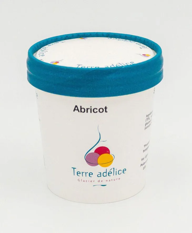 Sorbet abricot Terre Adélice - Pot de 120 ml
