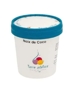Sorbet noix de coco Terre Adélice - Pot de 120 ml