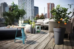 Soucoupe Loft urban Elho anthracite Ø 14 cm