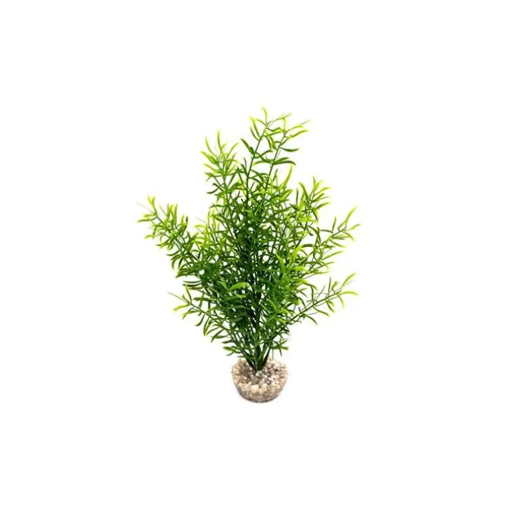 Sprengeri haut vert en plastique 26 cm