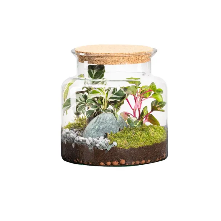Terrarium autonome botanic® Jungle Classic - Taille S Ø 23 cm H 20 cm