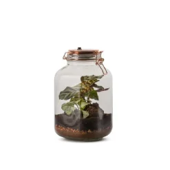 Terrarium Bulle de Nature Brooklyn lumineux en verre transparent Naturalys taille M - 14,2 x 14,2 x 23,5 cm