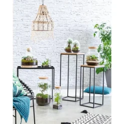 Terrarium quitto Bulle de Nature taille L Ø 10 x h 30 cm