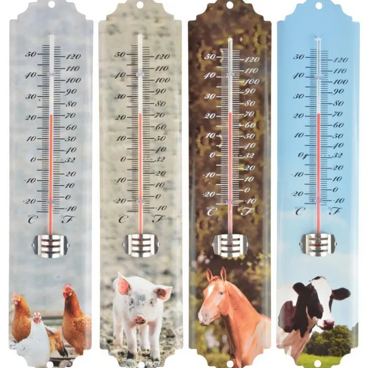 Thermomètre animaux de la ferme 6,8x1,3x29,6 cm