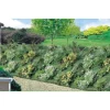 Toile De Paillage Agrosol 1,25x10 M