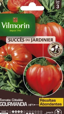 Tomate Côtelée Gourmandia HF1 Vilmorin - graines à semer