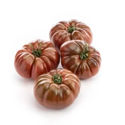 Tomate Noire de Crimée bio de France - Prix au kg