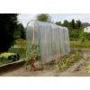 Tomato film coloris transparent 5x3,5 m