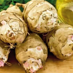Topinambourg Bio. Le pot de 1 litre