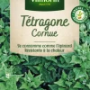 Tétragone Cornue Vilmorin - graines à semer