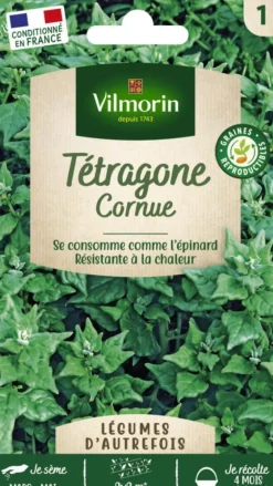 Tétragone Cornue Vilmorin - graines à semer