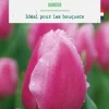 Tulipe simple hative gander botanic® - 10 bulbes