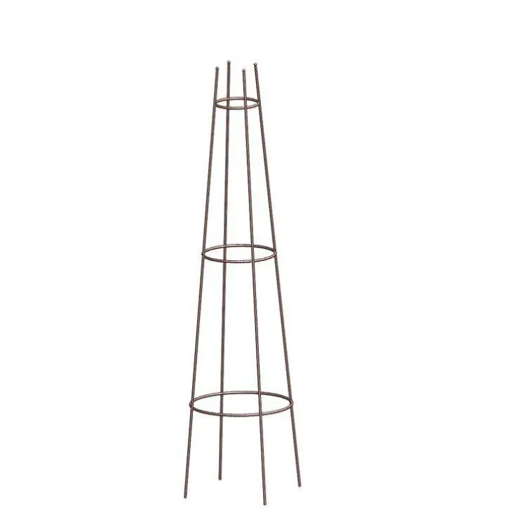 Tuteur Grimpantes Métal H120xØ33 cm