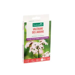 Valériane des jardins botanic® - graines à semer (3 m²)