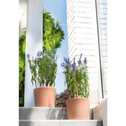 Vase Cilindrico clair D25 x H21