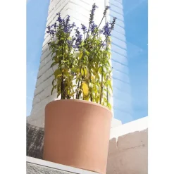 Vase cilindrico clair en terre cuite D16 x H13,7