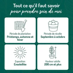 Vigne Danlas. Le pot de 2 litres